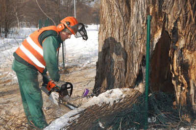 Eko-Pol Usługi ogrodnicze i brukarskie
