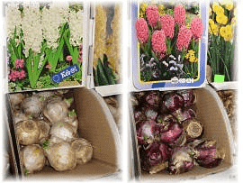 PHU "ZORZA" Wojciech Jastrzębski