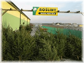 PHU "ZORZA" Wojciech Jastrzębski