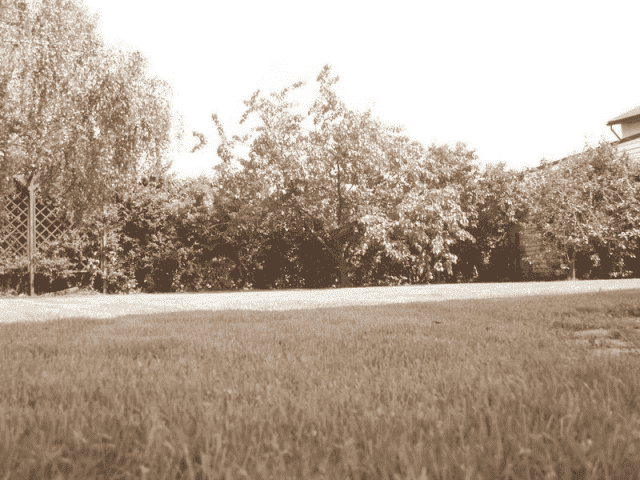 Pensjonacik Złota Rybka