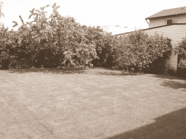 Pensjonacik Złota Rybka