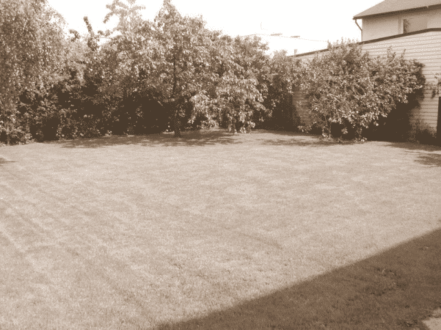 Pensjonacik Złota Rybka