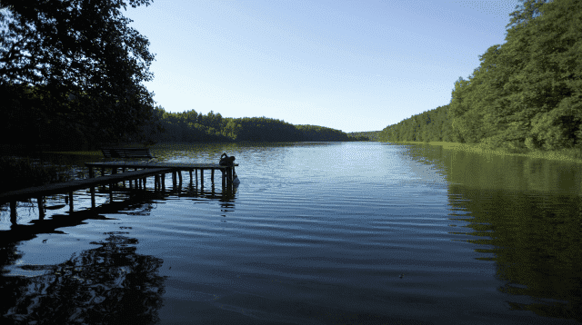  Rancho"Zielony koń"