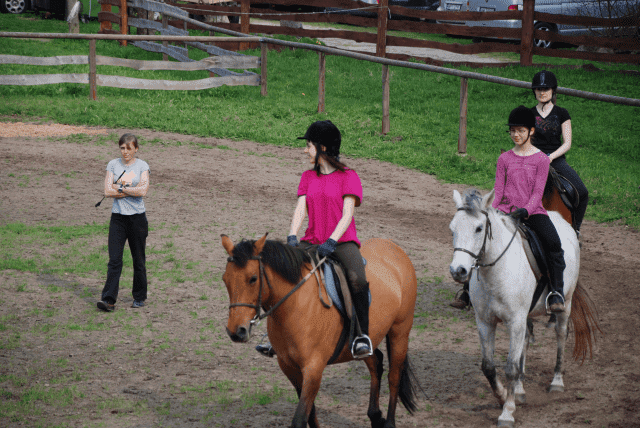  Rancho"Zielony koń"