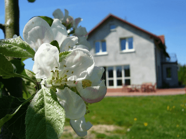 Gospodarstwo agroturystyczne ZACISZE