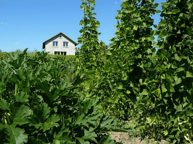 Gospodarstwo agroturystyczne ZACISZE