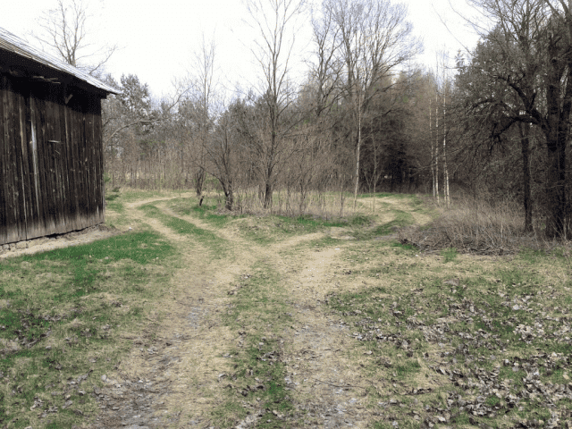 Andrzej Merko - wybaczanie.pl