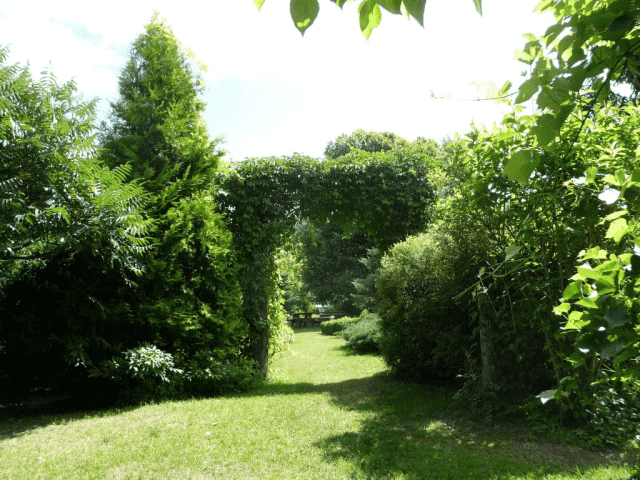 Andrzej Merko - wybaczanie.pl