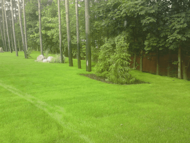 "Ogrody Sopot" Andrzej Kilkowski