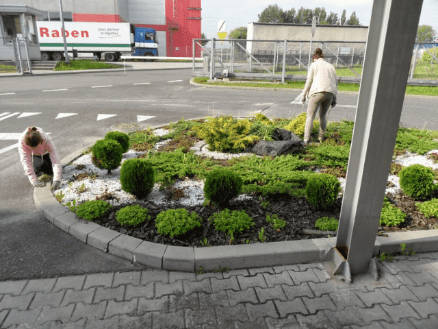 Ogrodowe Pogotowie Piotr Kobiela