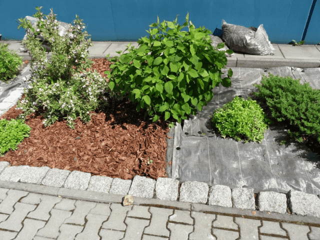 Ogrodowe Pogotowie Piotr Kobiela