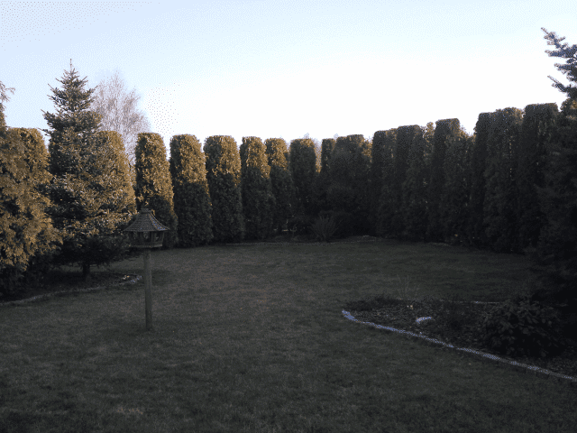 Ogrodowe Pogotowie Piotr Kobiela