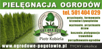 Ogrodowe Pogotowie Piotr Kobiela