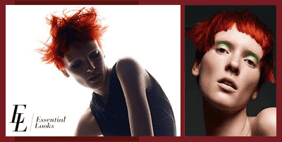 Viva. Salon fryzjerski. Zdanowska-Woźniczak M. 