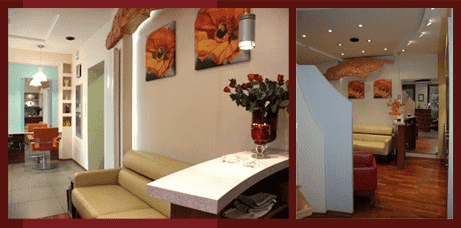 Viva. Salon fryzjerski. Zdanowska-Woźniczak M. 