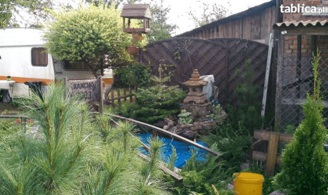 Ekologiczne Gospodarstwo Agroturystyczne Dobrzany; HOTEL DLA KONI