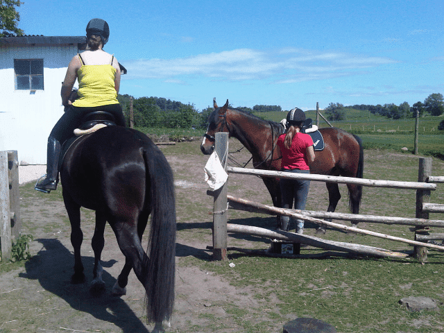 Ekologiczne Gospodarstwo Agroturystyczne Dobrzany; HOTEL DLA KONI
