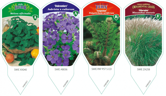 "BYLINY-ŚWIERK" ŚWIERK ADAM PRODUKCJA ROŚLIN OZDOBNYCH