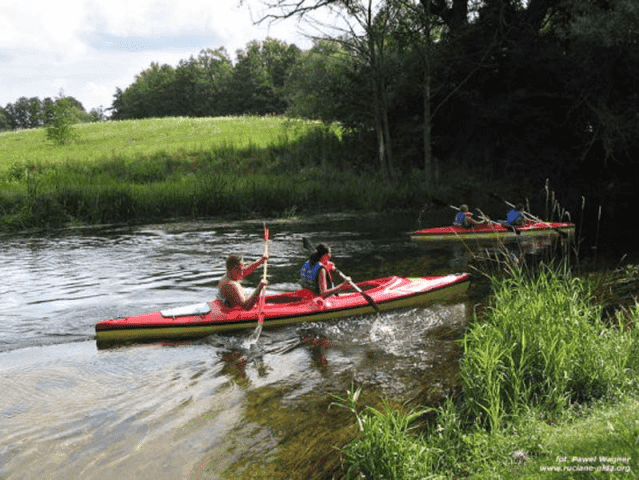 WODNIAK Roman Prusiński