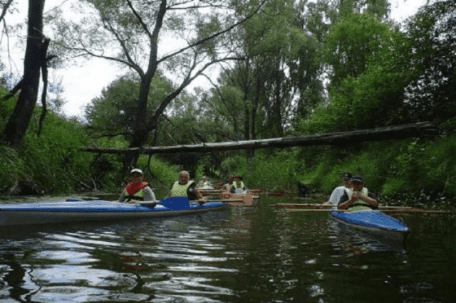 WODNIAK Roman Prusiński