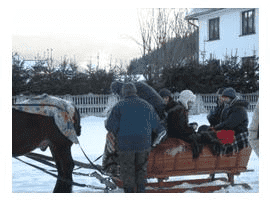 AGROTURYSTYKA "WENIT WITA"