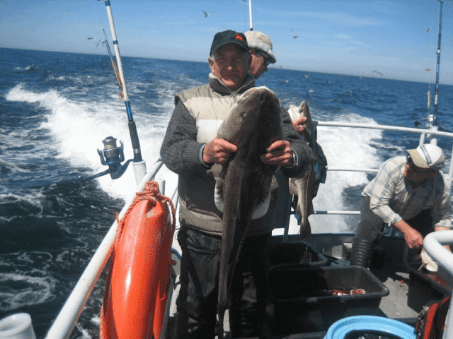 ORION GROUP Stanisław Jurkiewicz