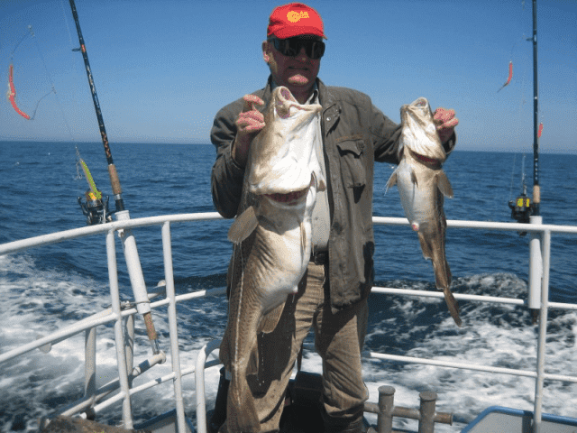 ORION GROUP Stanisław Jurkiewicz