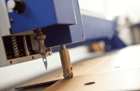 VIKI FAMILY Przemysław Jastrzębski