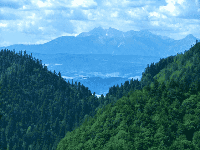 Usługi Turystyczne i Przewodnictwo Franciszek Homa