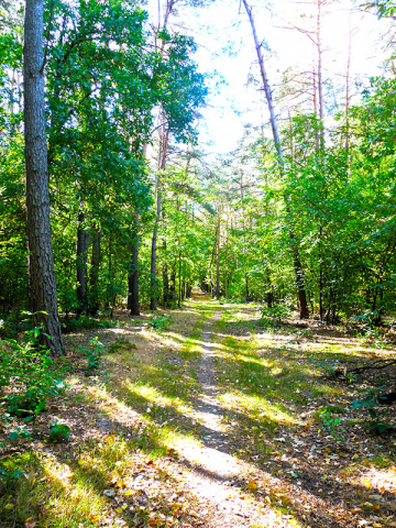 Pokoje gościnne "U Jagody"