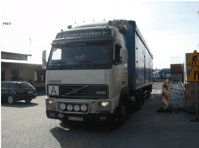 Transport Towarowy i Handel Henryk Muskalski