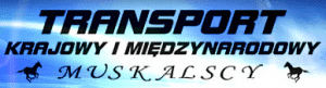 Transport Towarowy i Handel Henryk Muskalski