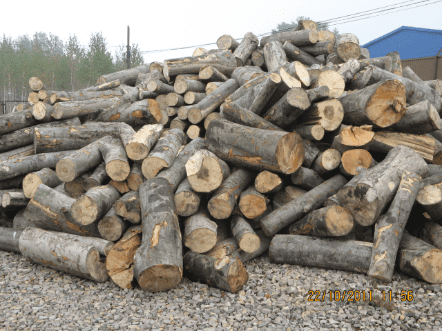  Drewno Kominkowe, Skład opału, Usługi Transportowe
