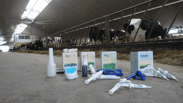 TRANS FEED Sp. z o.o.
Spółka Komandytowo Akcyjna