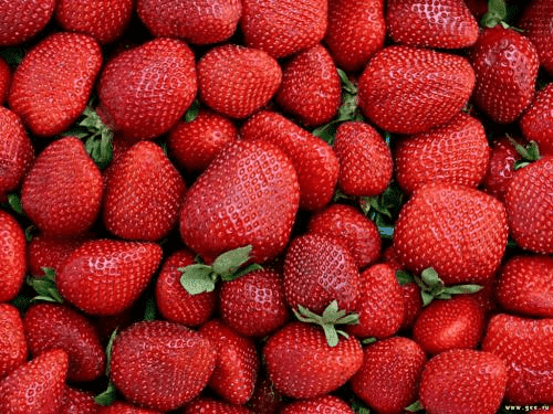 GOSPODARSTWO SZKÓŁKARSKIE "TOMPLANT" ŁUKASZ I STANISŁAW TOMCZYK