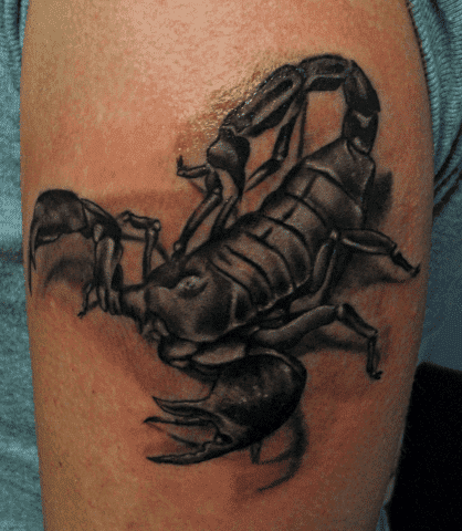 Skandal. Studio tatuażu artystycznego.