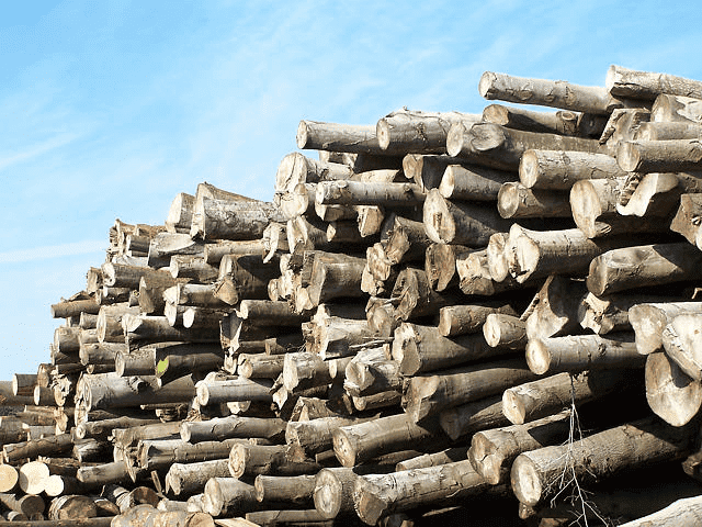 Jankowski Jan Tartak