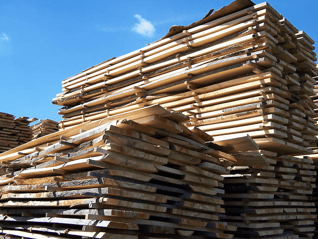 Jankowski Jan Tartak