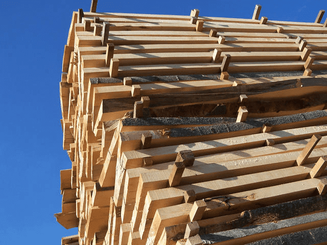 Jankowski Jan Tartak