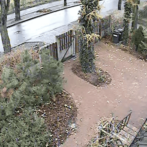 "COMPLEX" FHU Sławomir Urbański Alarmy, Monitoring