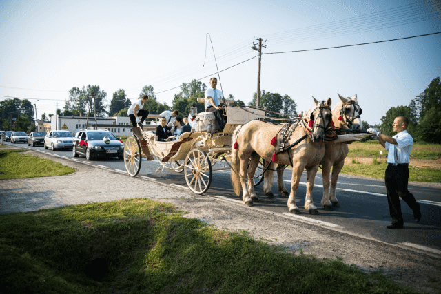 Jerzy Borkowski P.P.H.U. "JERZYK"

 Stadnina Koni Fryszerka