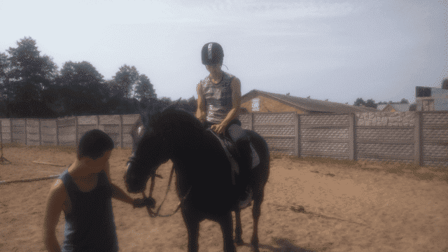 Jerzy Borkowski P.P.H.U. "JERZYK"

 Stadnina Koni Fryszerka