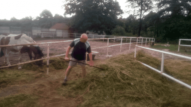 Jerzy Borkowski P.P.H.U. "JERZYK"

 Stadnina Koni Fryszerka