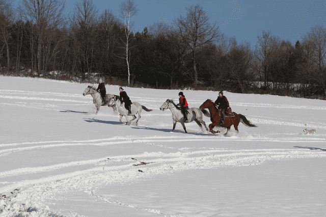S.K. FORTA, Gospodarstwo Agroturystyczne Budzyk Jan i Grażyna