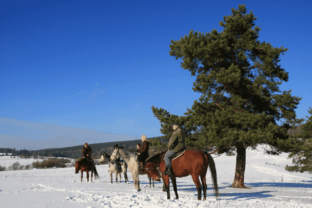 S.K. FORTA, Gospodarstwo Agroturystyczne Budzyk Jan i Grażyna