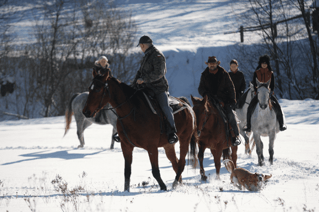 S.K. FORTA, Gospodarstwo Agroturystyczne Budzyk Jan i Grażyna