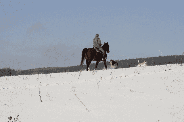 S.K. FORTA, Gospodarstwo Agroturystyczne Budzyk Jan i Grażyna