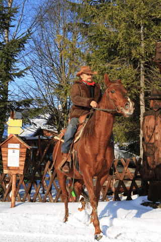 S.K. FORTA, Gospodarstwo Agroturystyczne Budzyk Jan i Grażyna