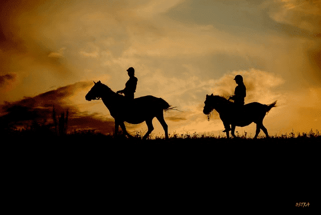 Serednie.Stadnina koni Huculskich.Smoleńscy K.W