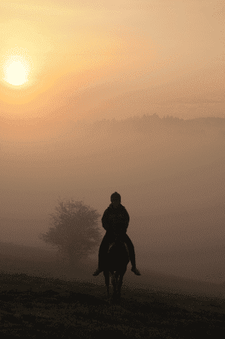 Serednie.Stadnina koni Huculskich.Smoleńscy K.W